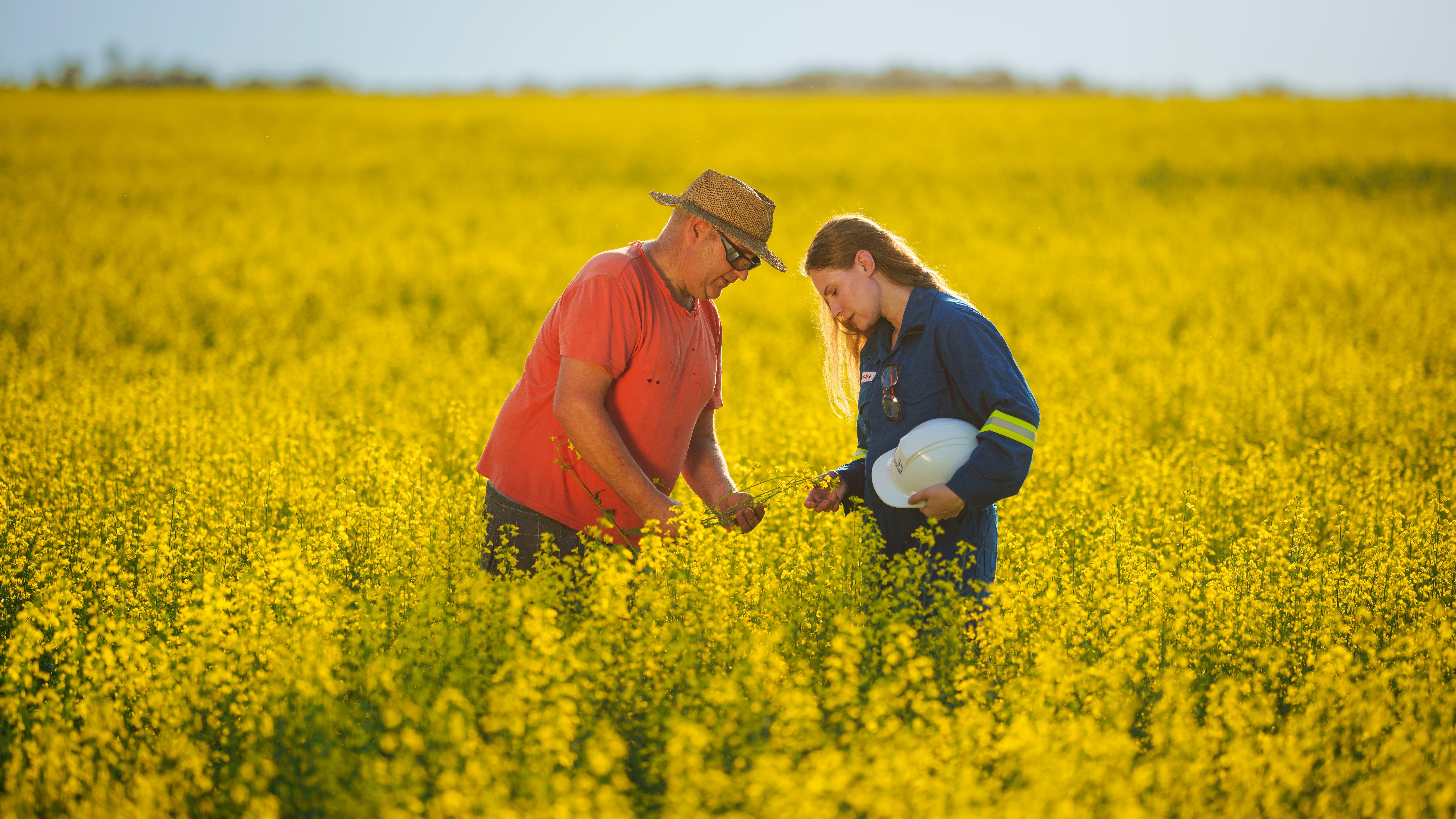 Returning properties to productive use