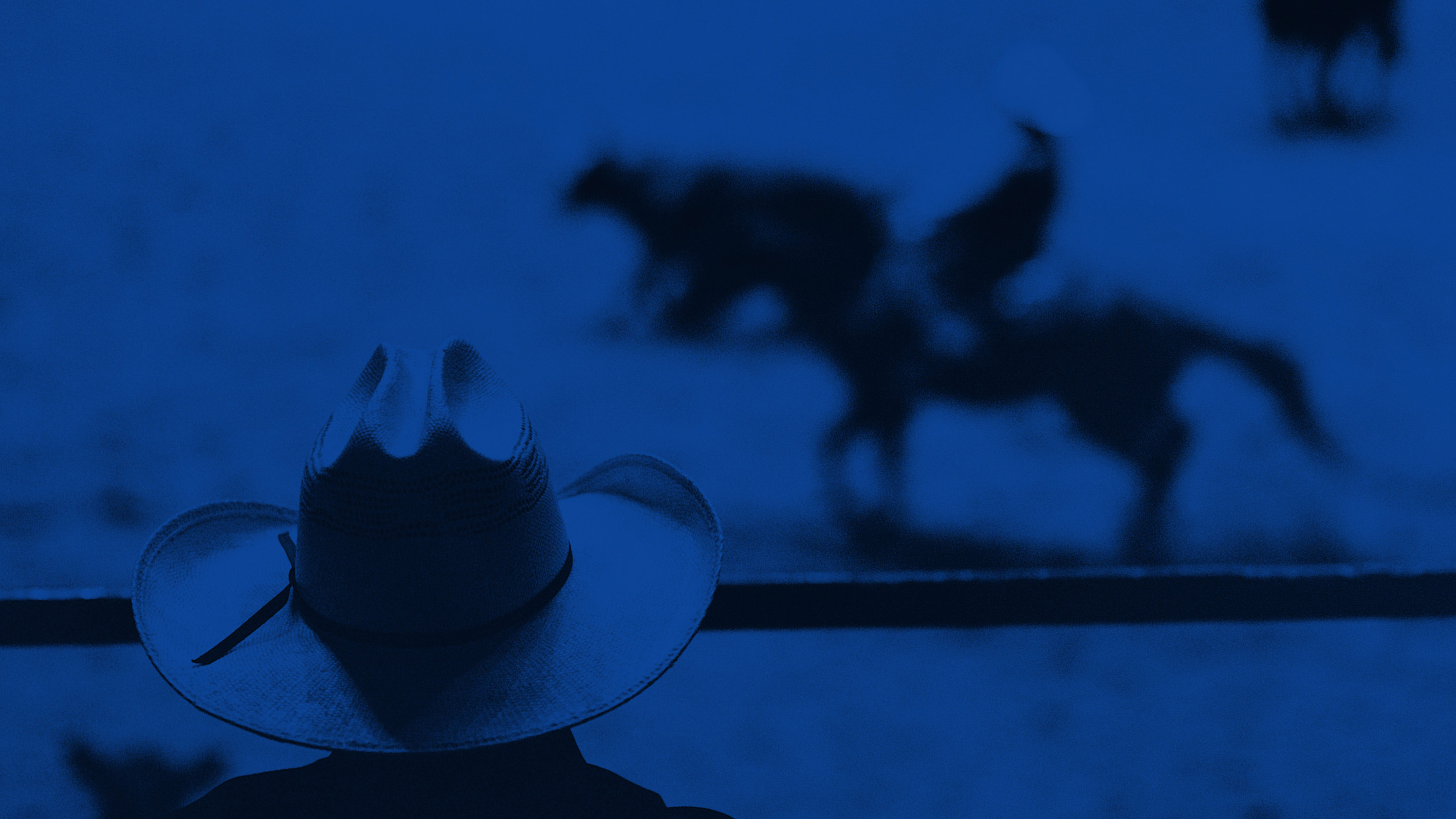 cowperson and cowperson on horse near bull
