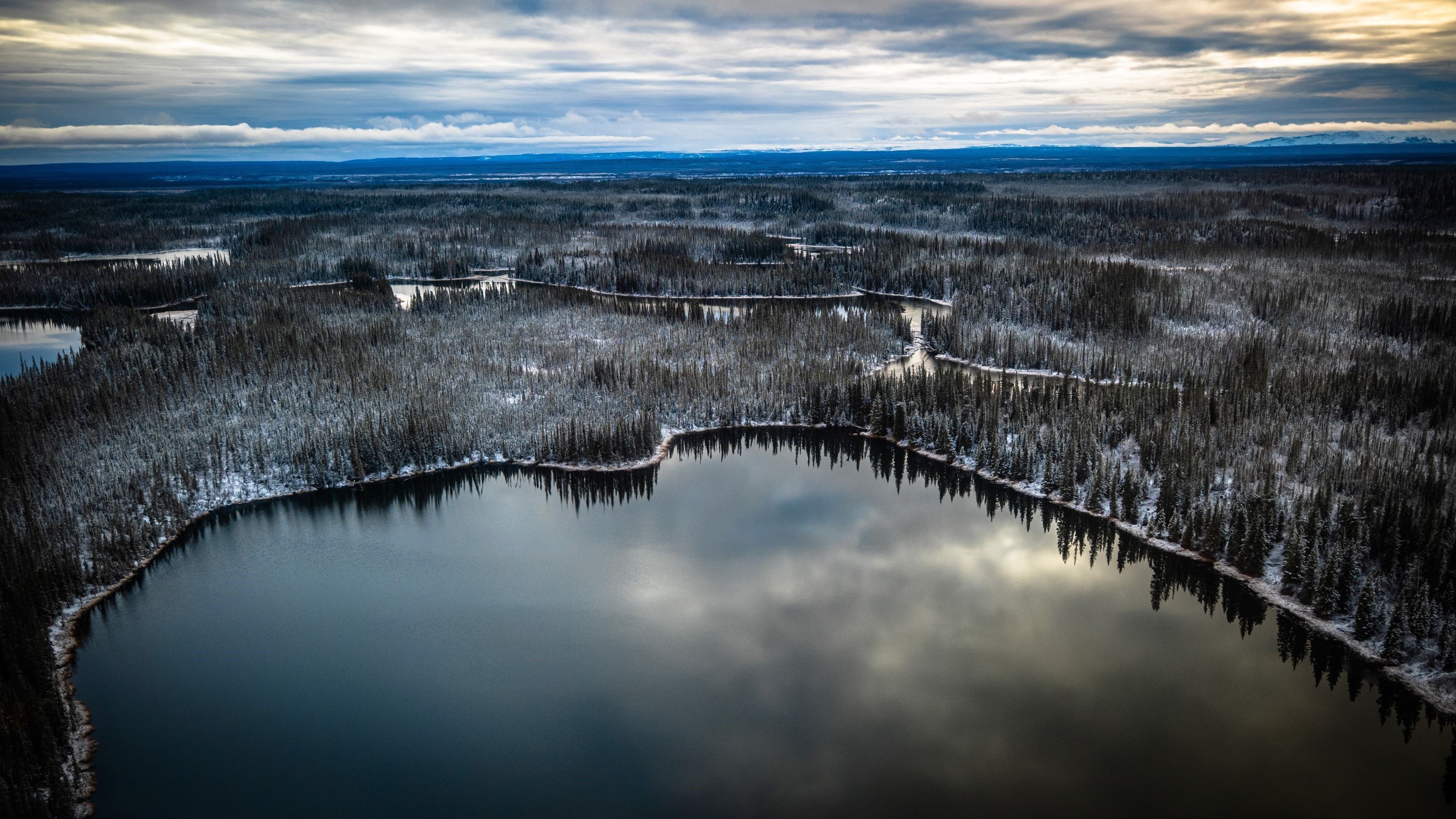 Additional information