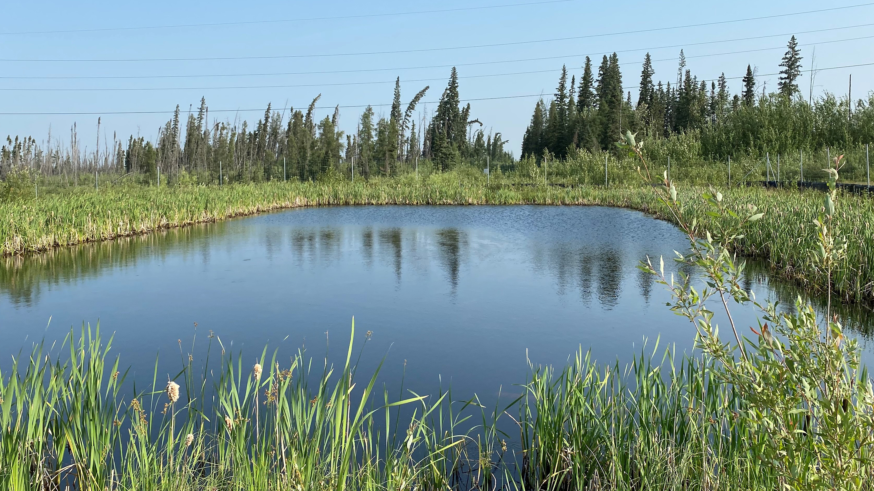 Kearl water treatment wetland