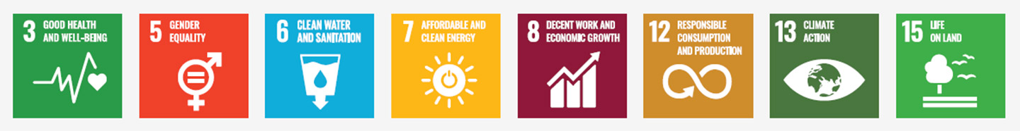 United Nations Sustainable Development Goals - Imperial's 2022 published in 2023 focus areas