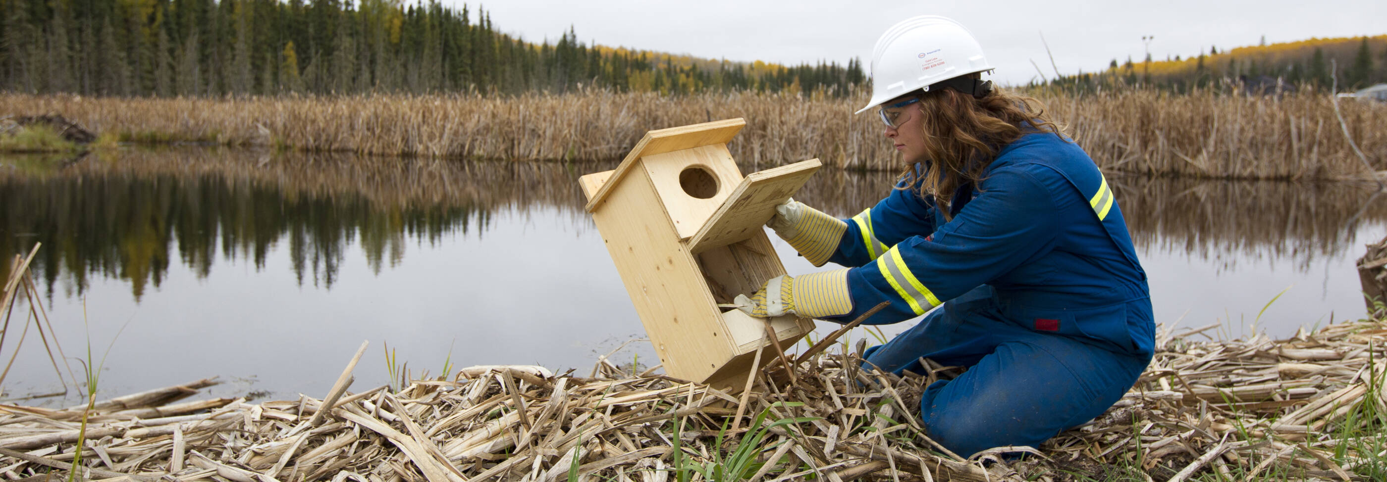 Imperial employee inspecting bird house (box) along side a lake