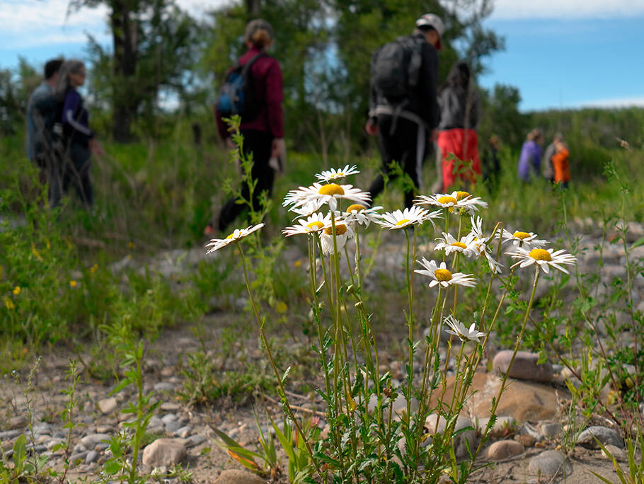 Geoscience field trip more than a walk in the park