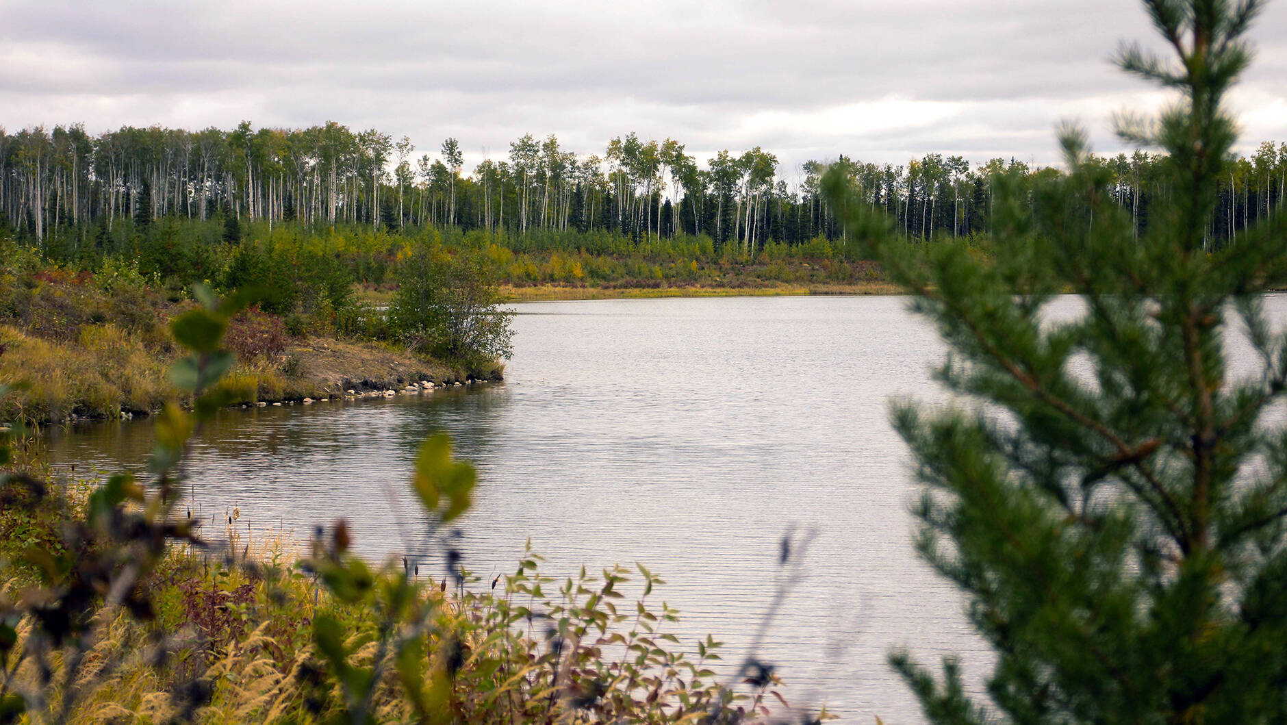 Land use and biodiversity